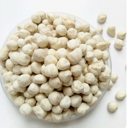 Organic Shelled Moringa Seeds -