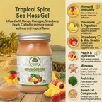 Tropical Spice Seamoss Mineral-Rich Wellness Blend