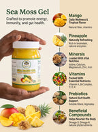Organic Mango Pineapple Ginger Seamoss Gel