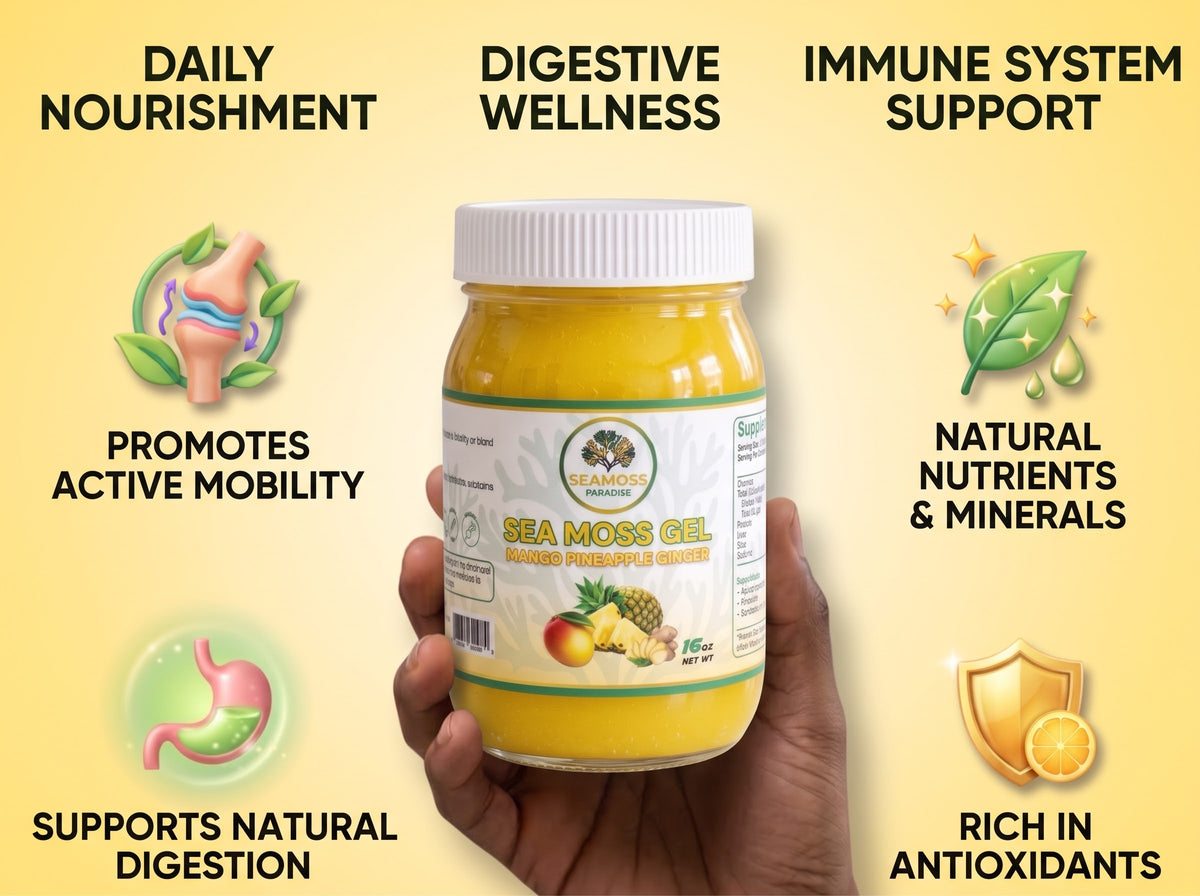 Organic Mango Pineapple Ginger Seamoss Gel