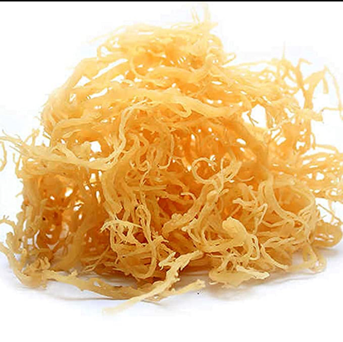 Jamaican Wildcrafted Dried Seamoss