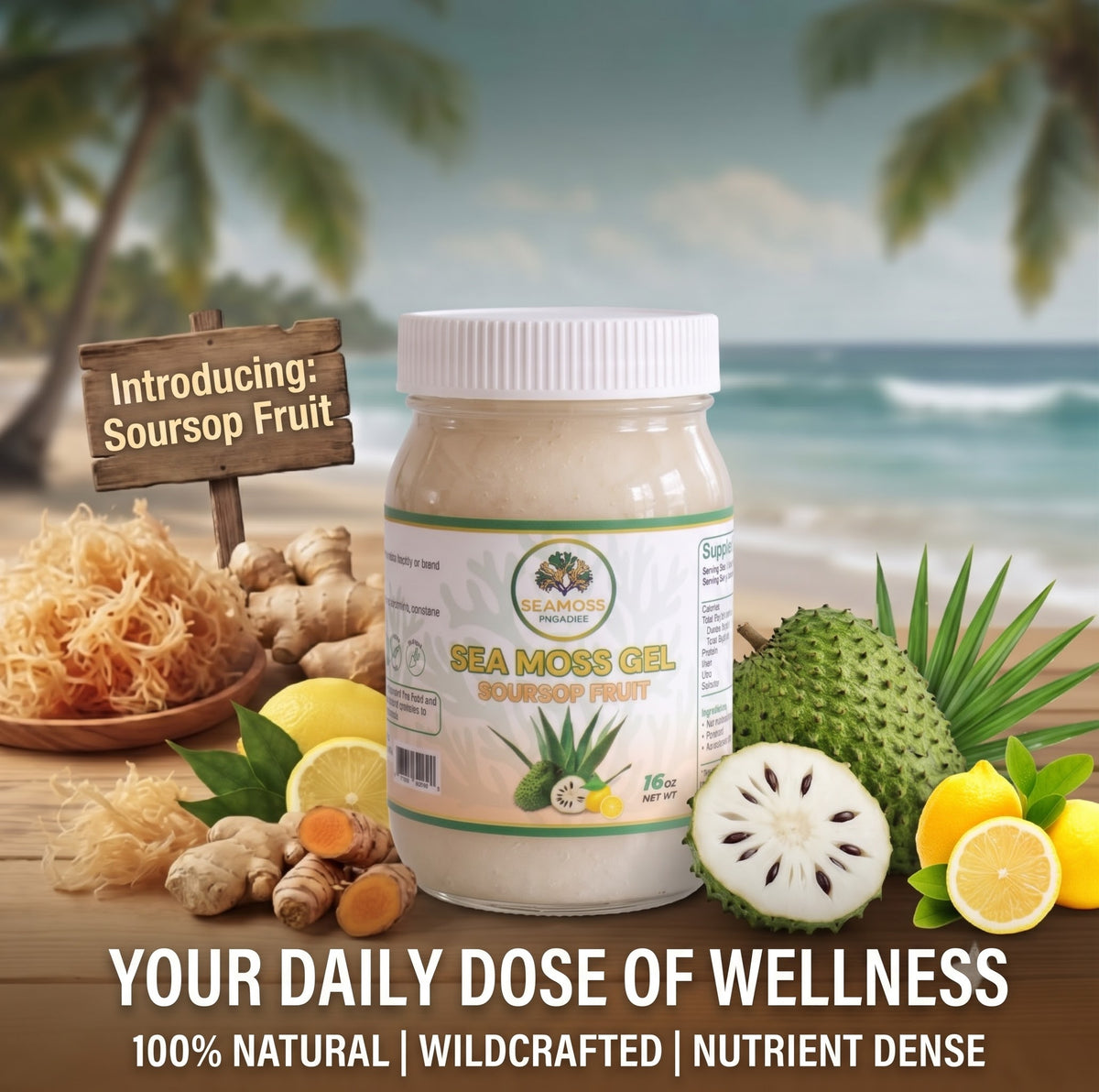 Soursop Fruit Seamoss Gel Tropical Wellness Blend