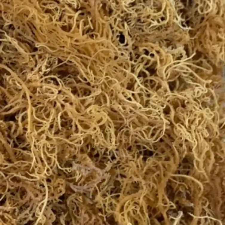 Jamaican Raw Sun dried Wildcrafted Seamoss