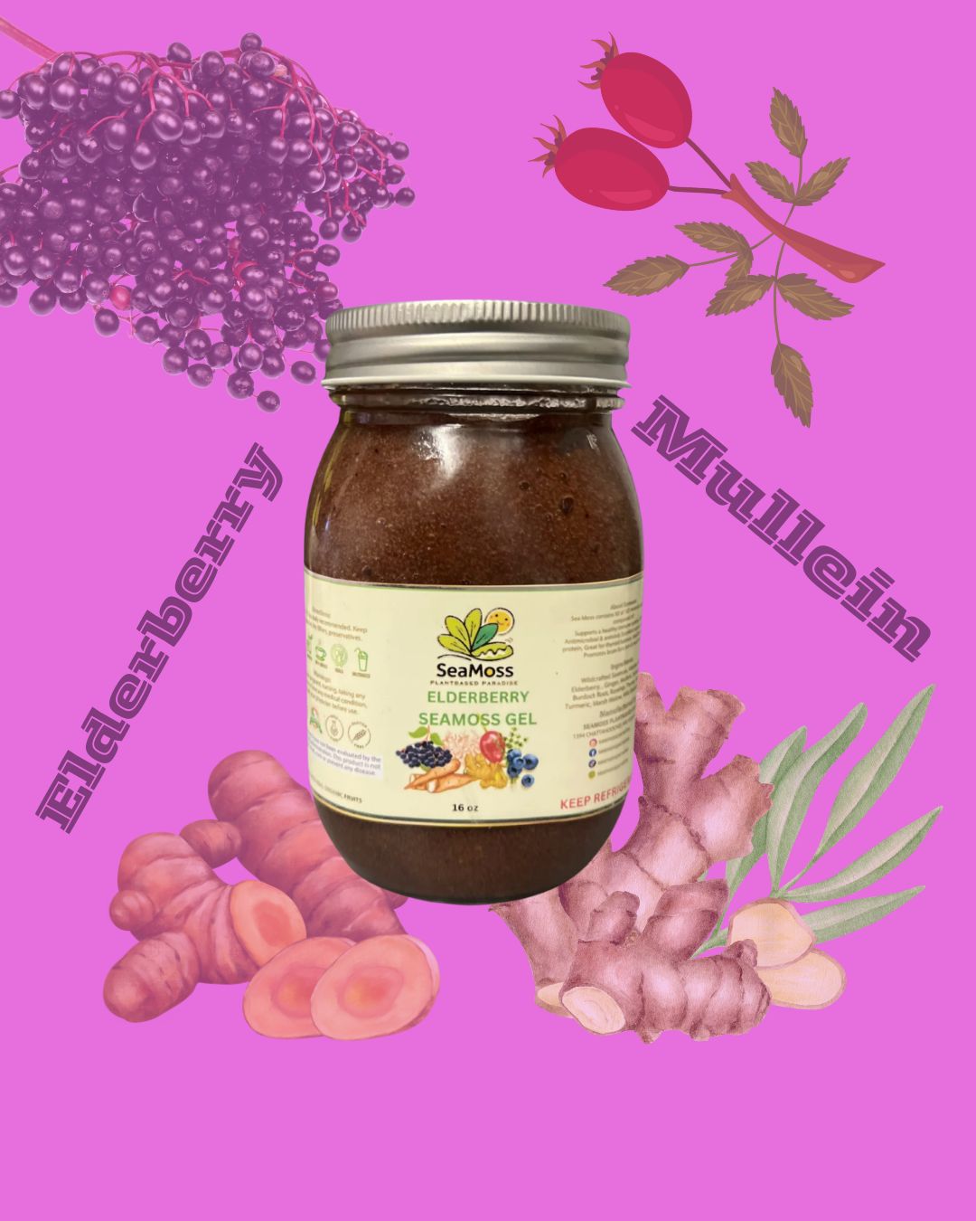 Organic Elderberry Seamoss Gel