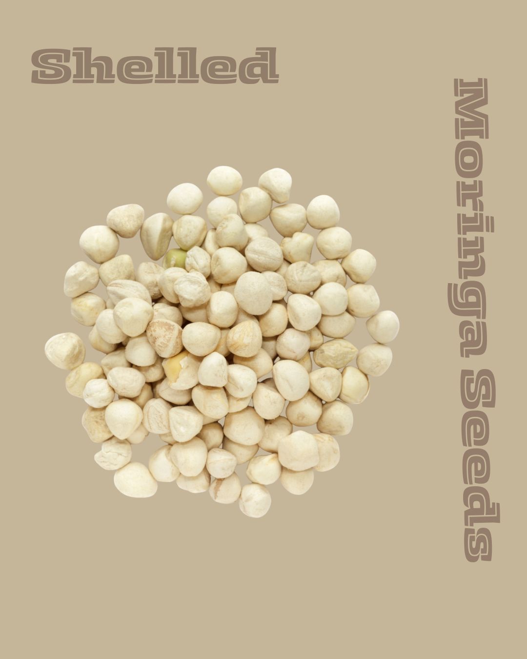 Shelled Moringa Seeds
